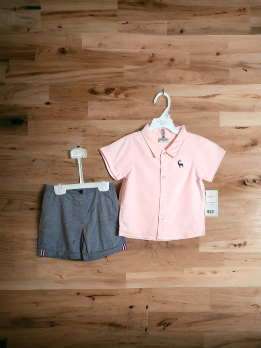 Boys Shorts and Shirt Set - Mylookmyway