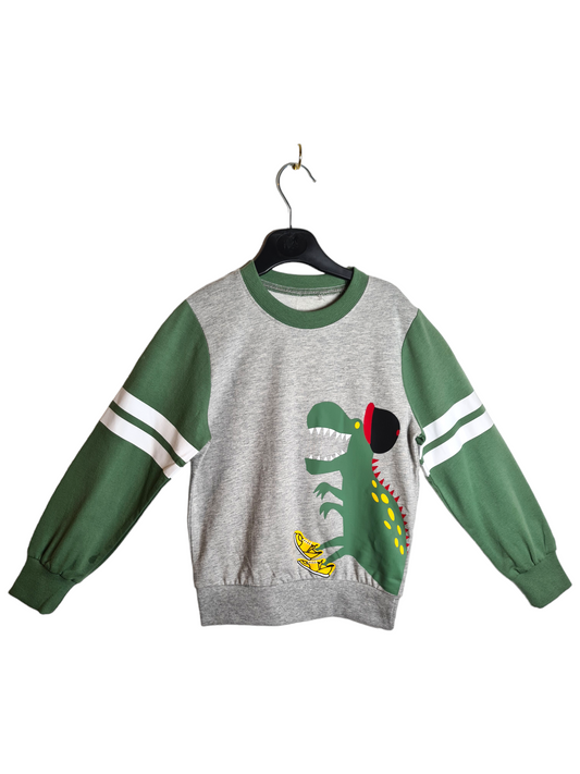 Boys Dinosaurs jumpers - Mylookmyway